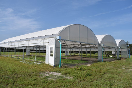 Three-bay high tunnel on certified organic land